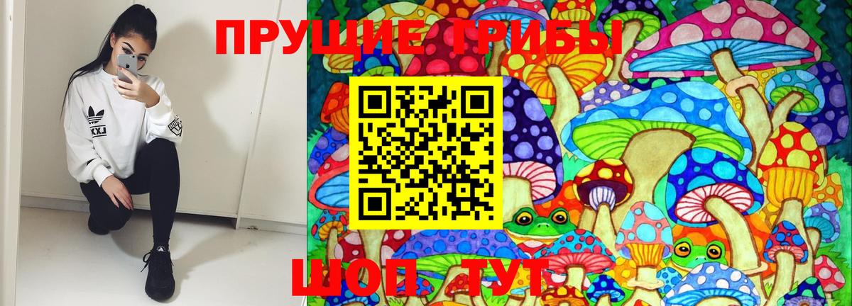 Псилоцибиновые грибы Psilocybine cubensis Лыткарино