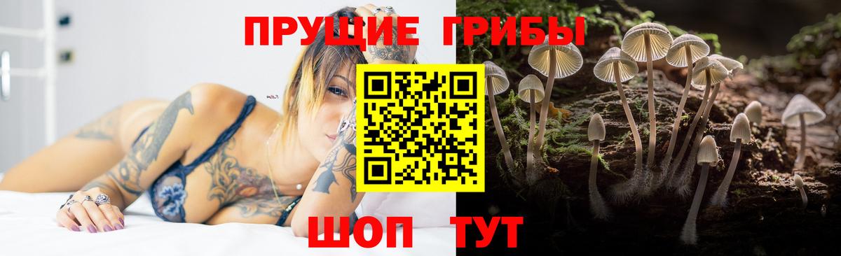 Лыткарино  Псилоцибиновые грибы MAGIC MUSHROOMS  Псилоцибиновые грибы мицелий  Вход с VPN 