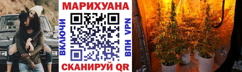 Шишки марихуана тримм  Лыткарино 